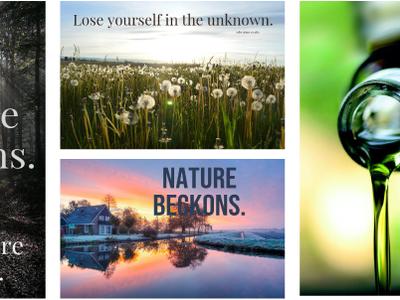 Harmonized Banner Creation from Multimodal Design Assets