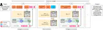 Internalizing Heterogeneous Agents in Language Model Reasoning